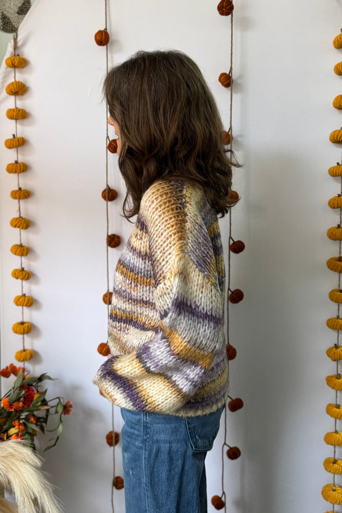Purple and Yellow Multi Color Sweater