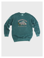 Washington State Mount Rainier Embroidered Sweatshirt