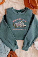 Washington State Mount Rainier Embroidered Sweatshirt